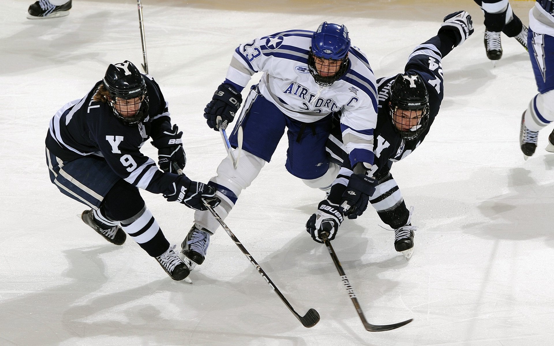 “费尔南多·比亚尔巴的球场智慧与执行力,成就美洲狮队的未来”