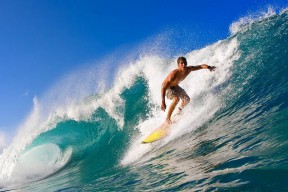 2026体育赛事冠军榜，2020体育赛历