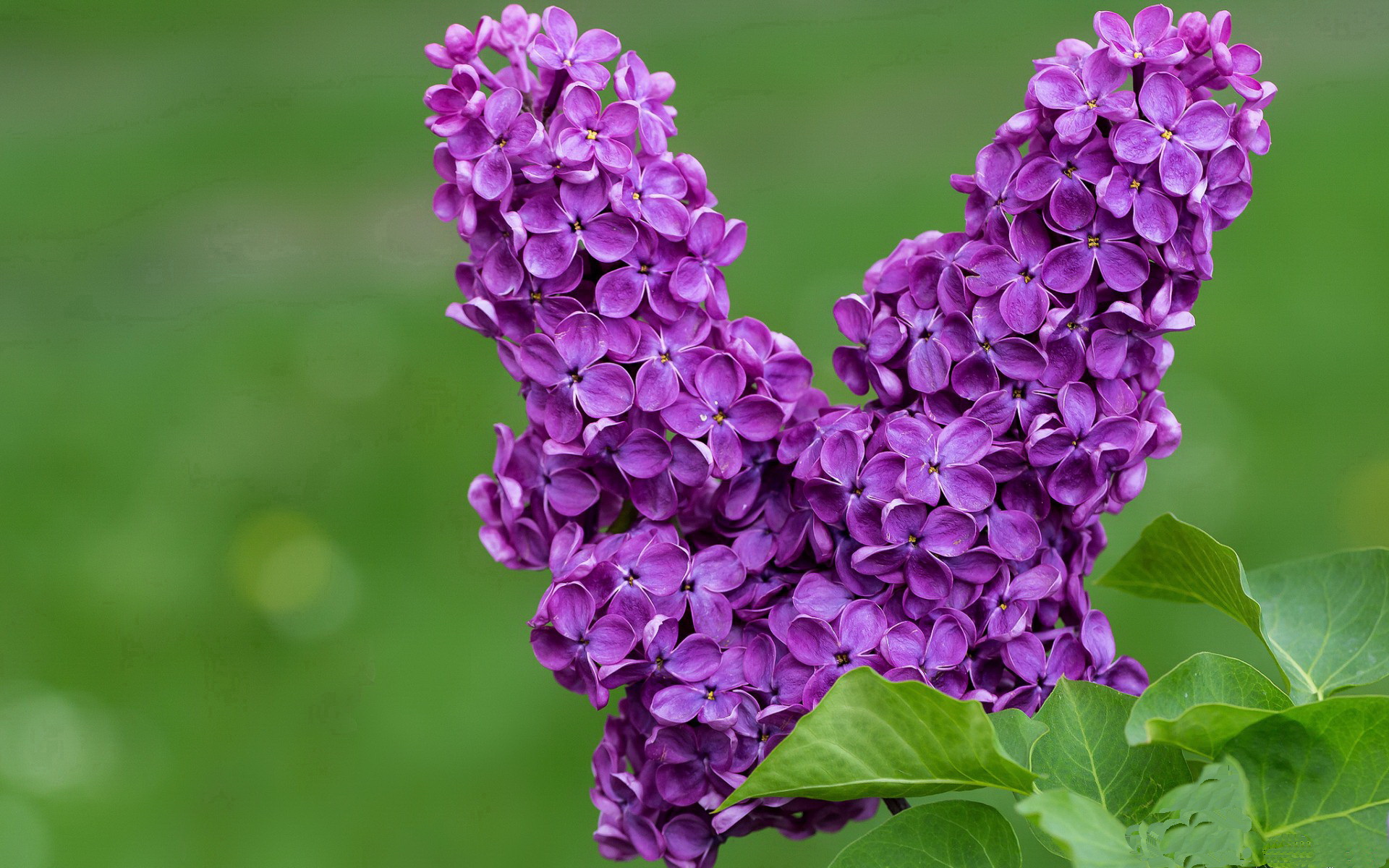 基层足球发展资金短缺问题，基层足球发展资金短缺问题有哪些