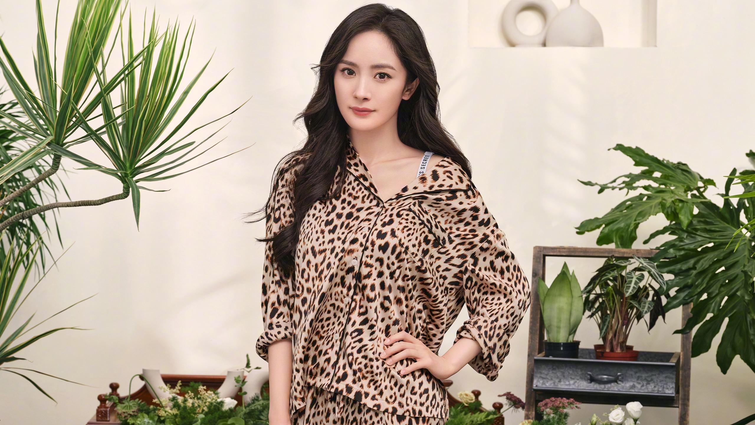 2026世界杯赛场设计融合未来科技元素,成亮点,2026年世界杯48支球队