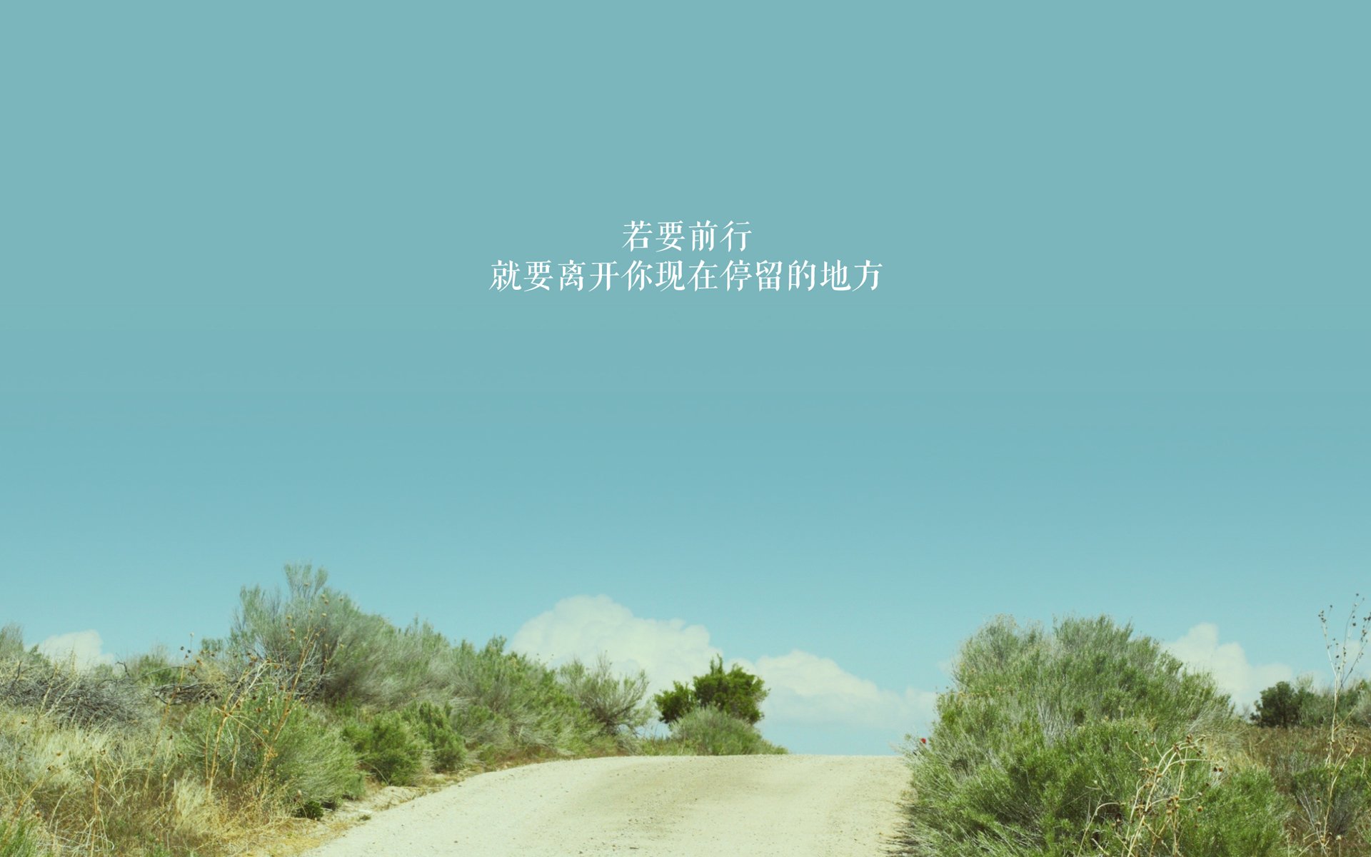 中国男子4×200米自由泳接力决赛引发媒体热议,男子4×100米自由泳接力