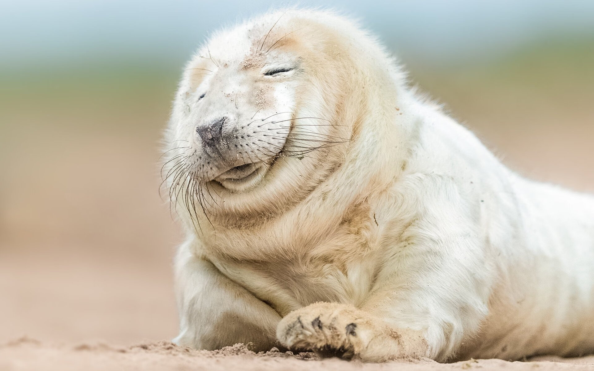 乔治中距离手感火热快船持续发力,乔治快船最新进展