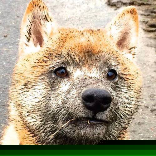 -仰泳出水角度更有利推进，仰泳的推进力在哪里