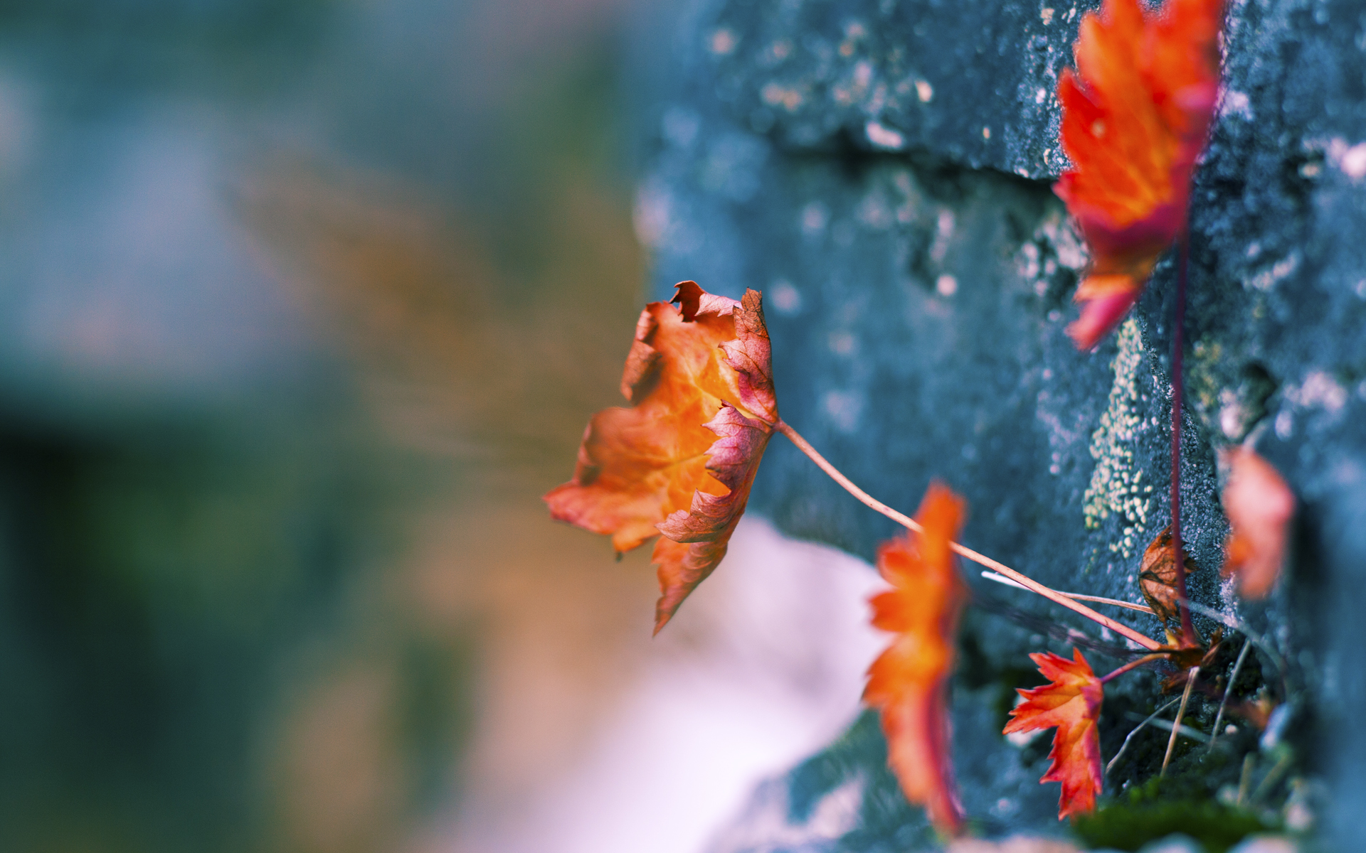 Milan Sports-英超经典反击：瞬间撕裂对手防线的快攻，英超的对抗