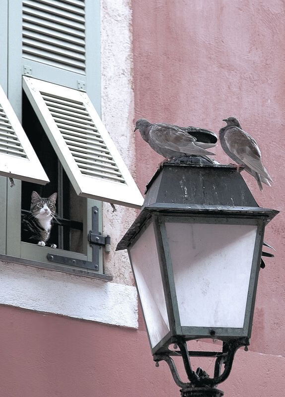 英超经典反击：瞬间撕裂对手防线的快攻，英超的对抗